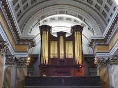 organ